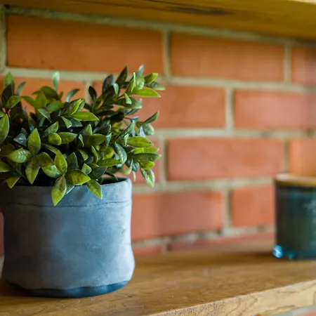 Fuzja Sen Fabrykanta By Fusionaparts